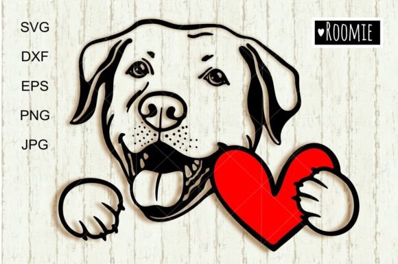 Labrador Retriever Valentine Dog: A Designer's Review